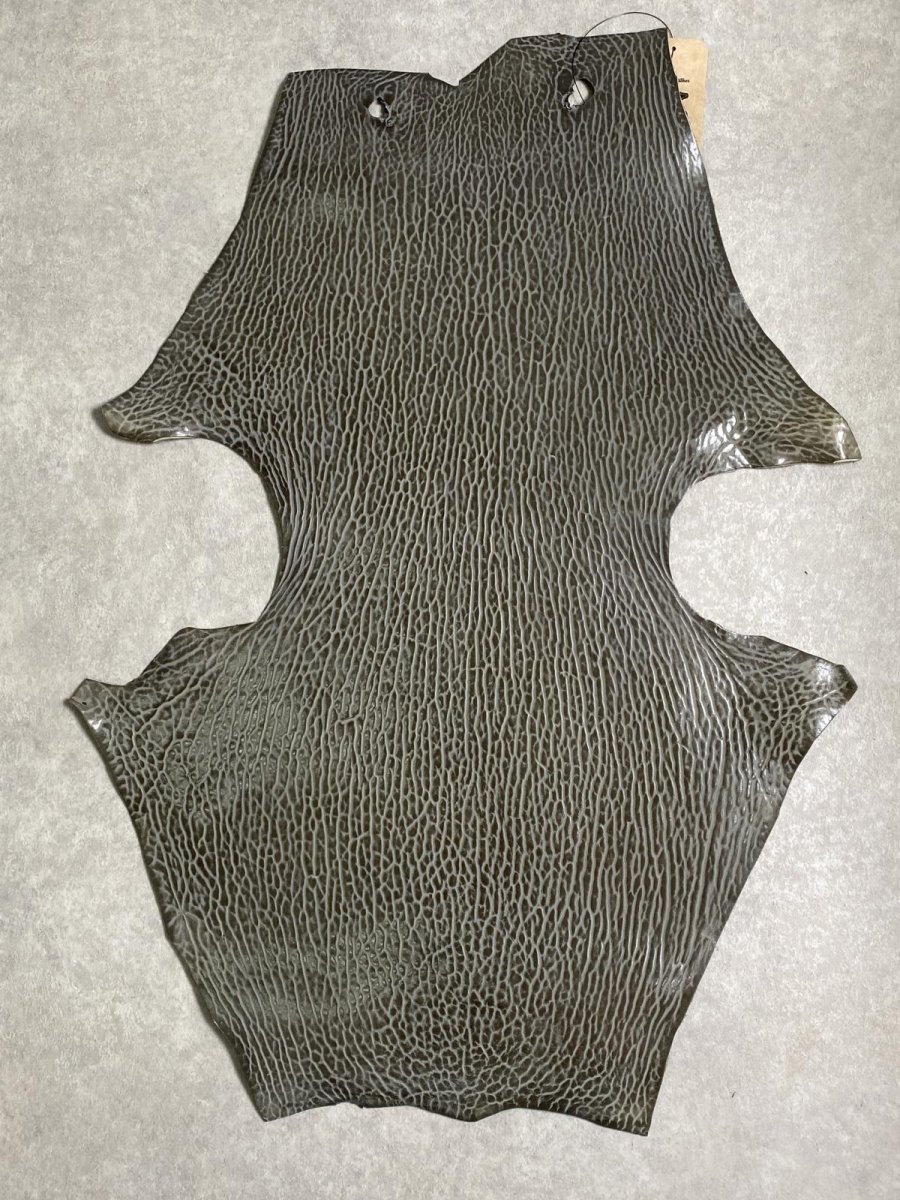 画像1: ケープシール　グレー　オットセイ革　シールスキン　 (1)