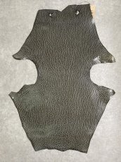 画像1: ケープシール　グレー　オットセイ革　シールスキン　 (1)