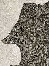 画像2: ケープシール　グレー　オットセイ革　シールスキン　 (2)