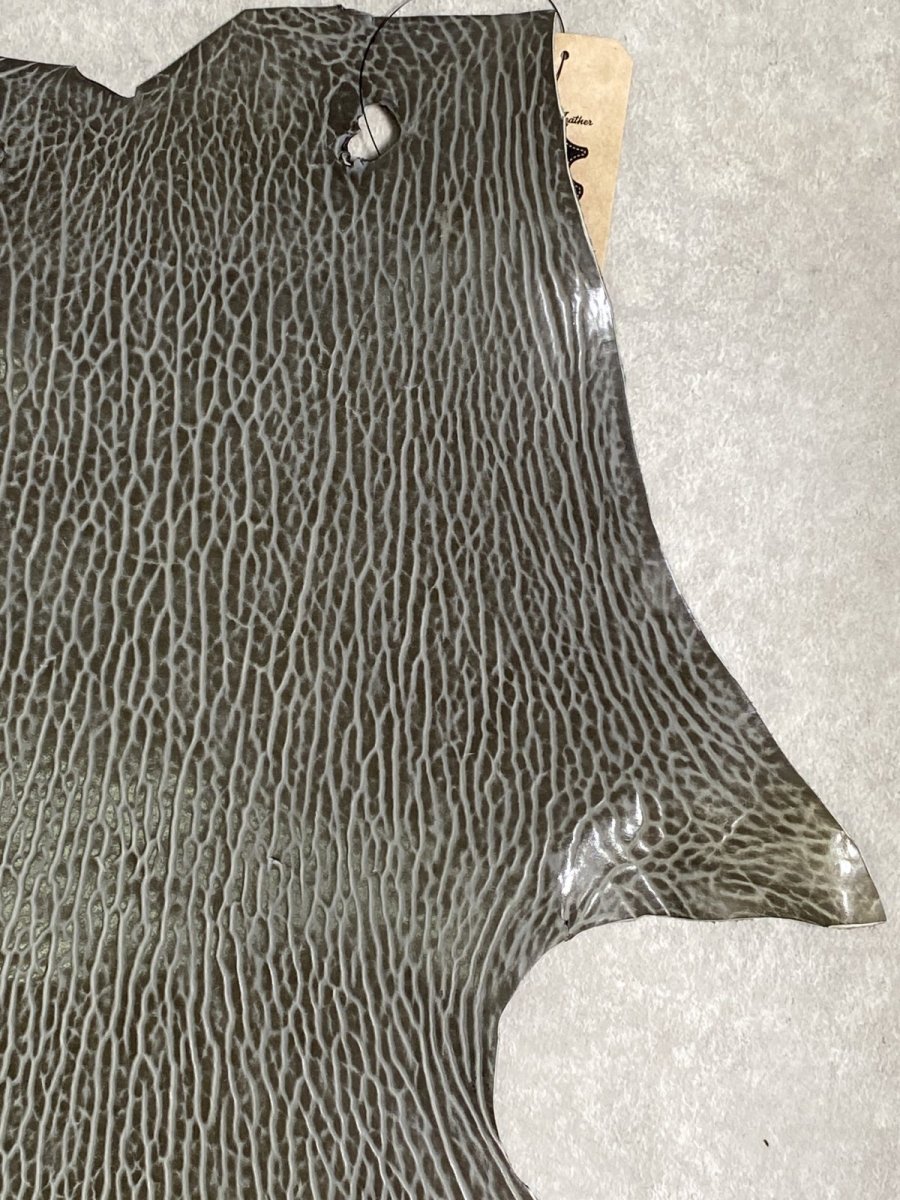 画像3: ケープシール　グレー　オットセイ革　シールスキン　 (3)