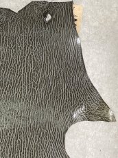 画像3: ケープシール　グレー　オットセイ革　シールスキン　 (3)