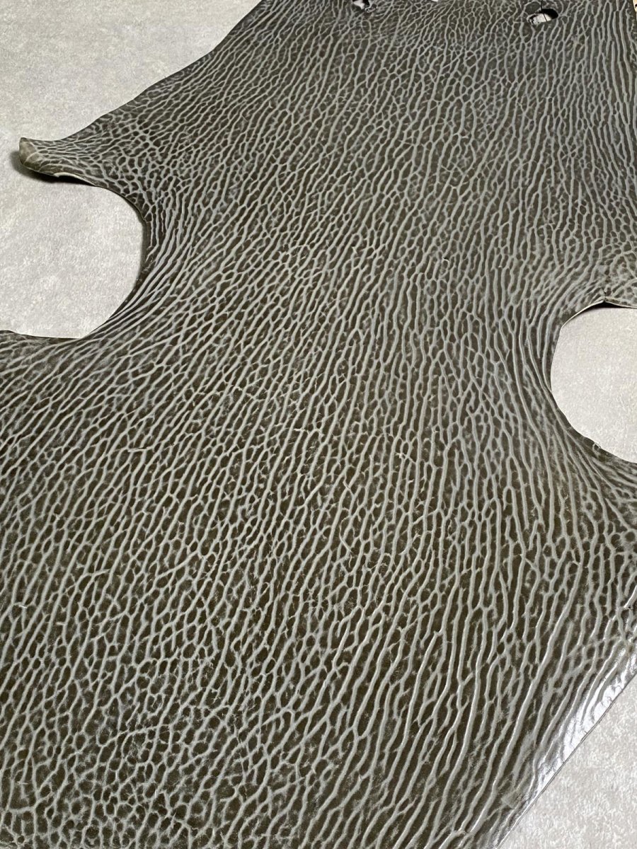 画像6: ケープシール　グレー　オットセイ革　シールスキン　 (6)