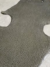 画像6: ケープシール　グレー　オットセイ革　シールスキン　 (6)