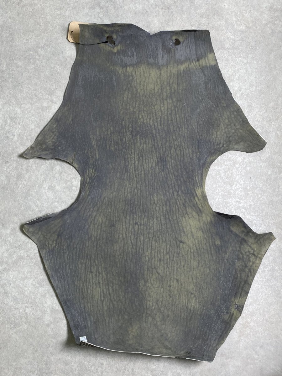 画像8: ケープシール　グレー　オットセイ革　シールスキン　 (8)