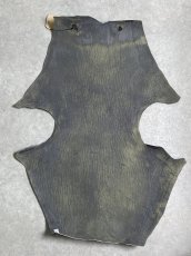 画像8: ケープシール　グレー　オットセイ革　シールスキン　 (8)