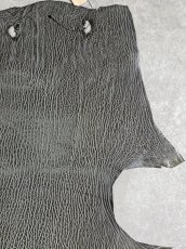 画像3: ケープシール　グレー　オットセイ革　シールスキン　 (3)