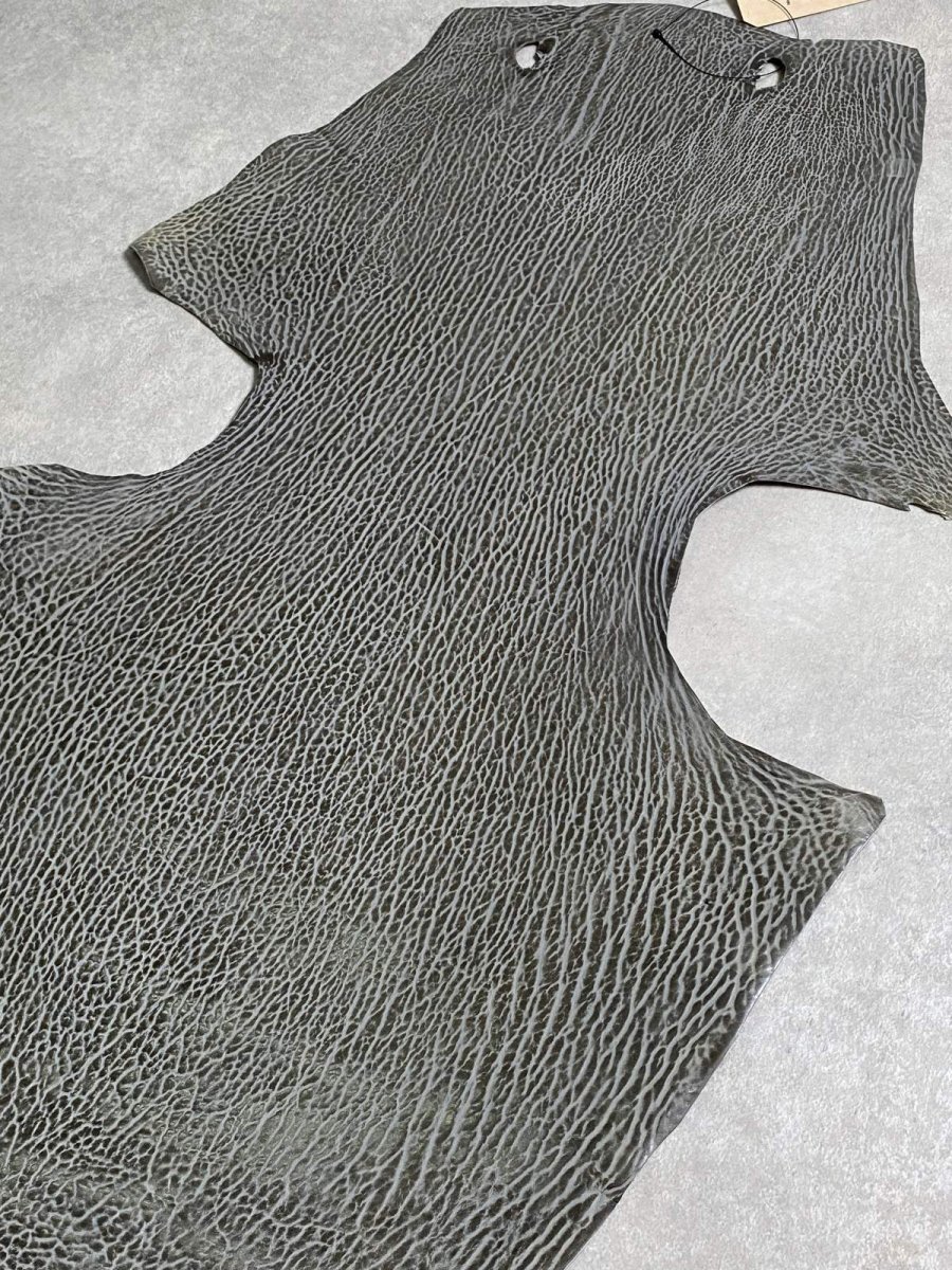 画像6: ケープシール　グレー　オットセイ革　シールスキン　 (6)