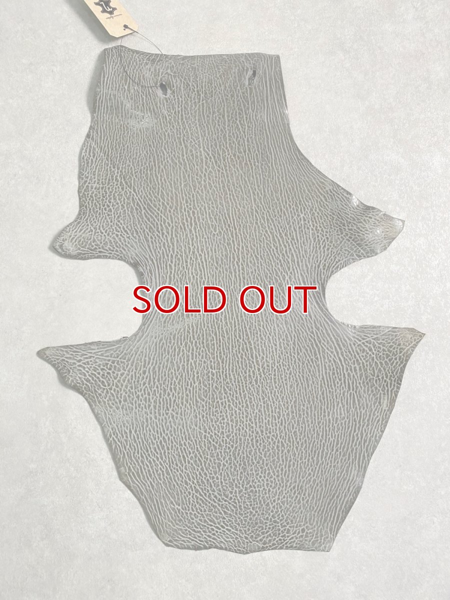 画像1: ケープシール　グレー　オットセイ革　シールスキン　 (1)