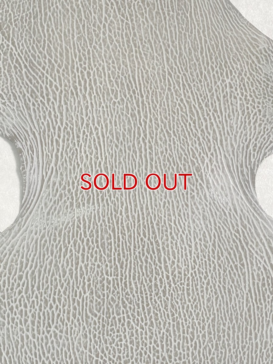 画像2: ケープシール　グレー　オットセイ革　シールスキン　 (2)