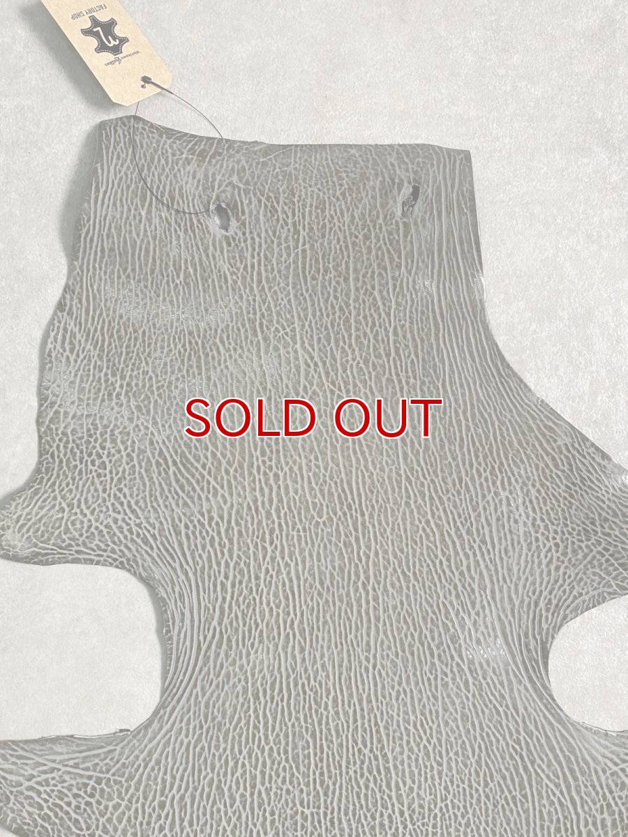 画像3: ケープシール　グレー　オットセイ革　シールスキン　 (3)