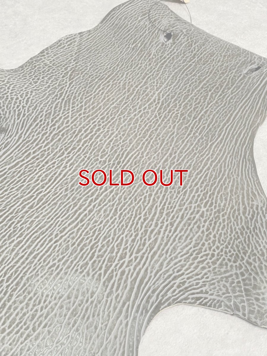 画像5: ケープシール　グレー　オットセイ革　シールスキン　 (5)