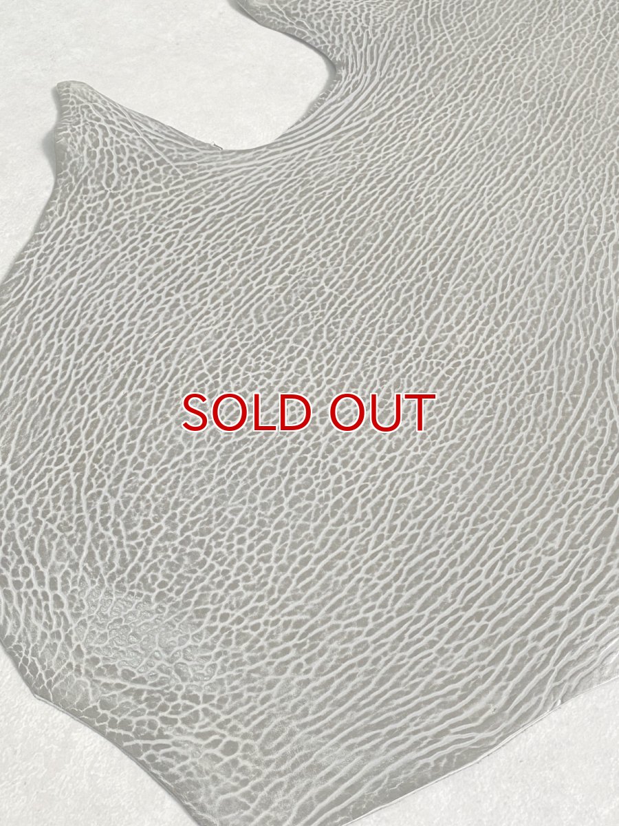 画像6: ケープシール　グレー　オットセイ革　シールスキン　 (6)