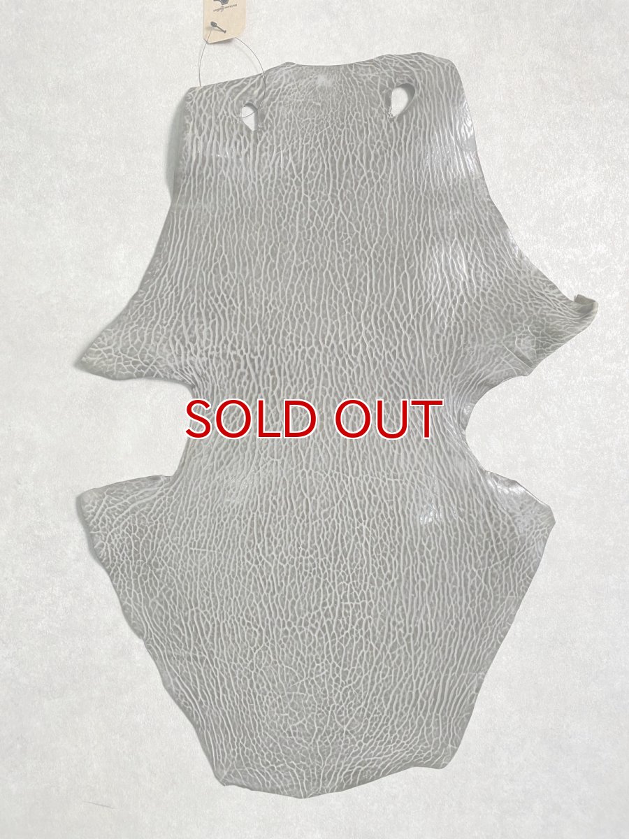 画像1: ケープシール　グレー　オットセイ革　シールスキン　 (1)