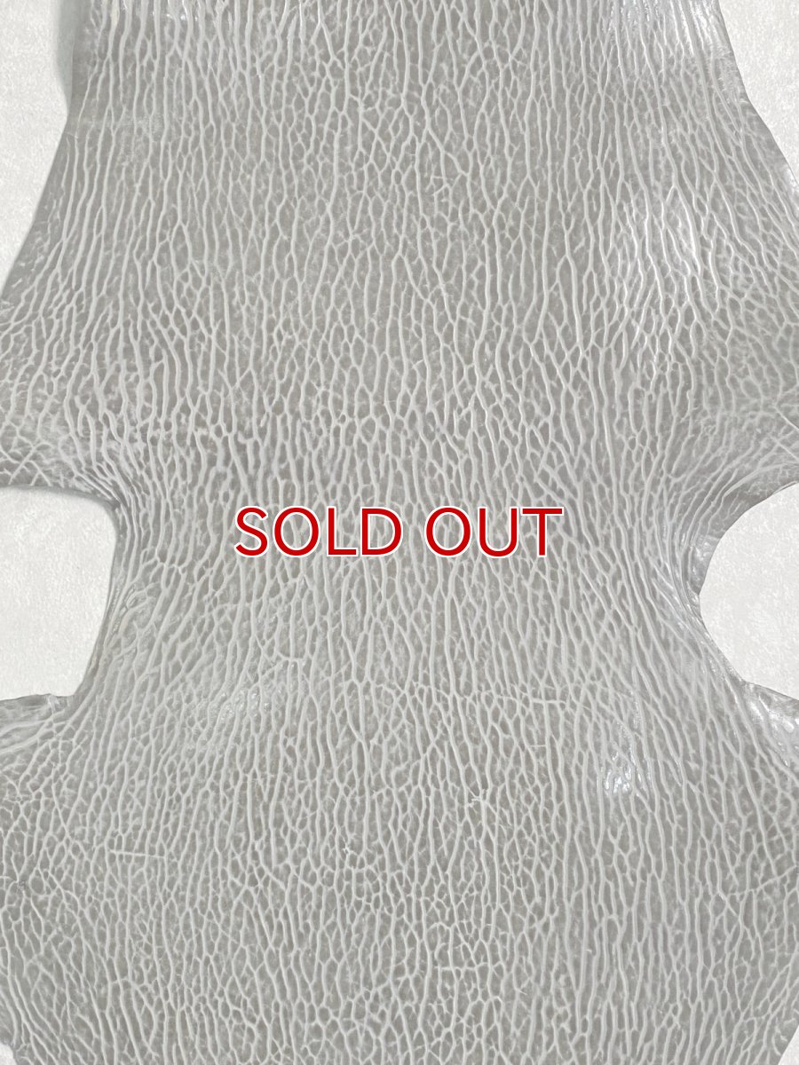 画像2: ケープシール　グレー　オットセイ革　シールスキン　 (2)