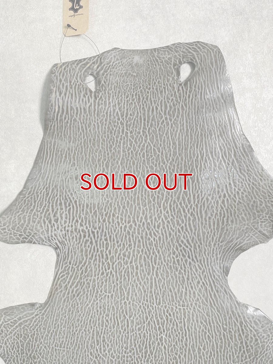 画像3: ケープシール　グレー　オットセイ革　シールスキン　 (3)