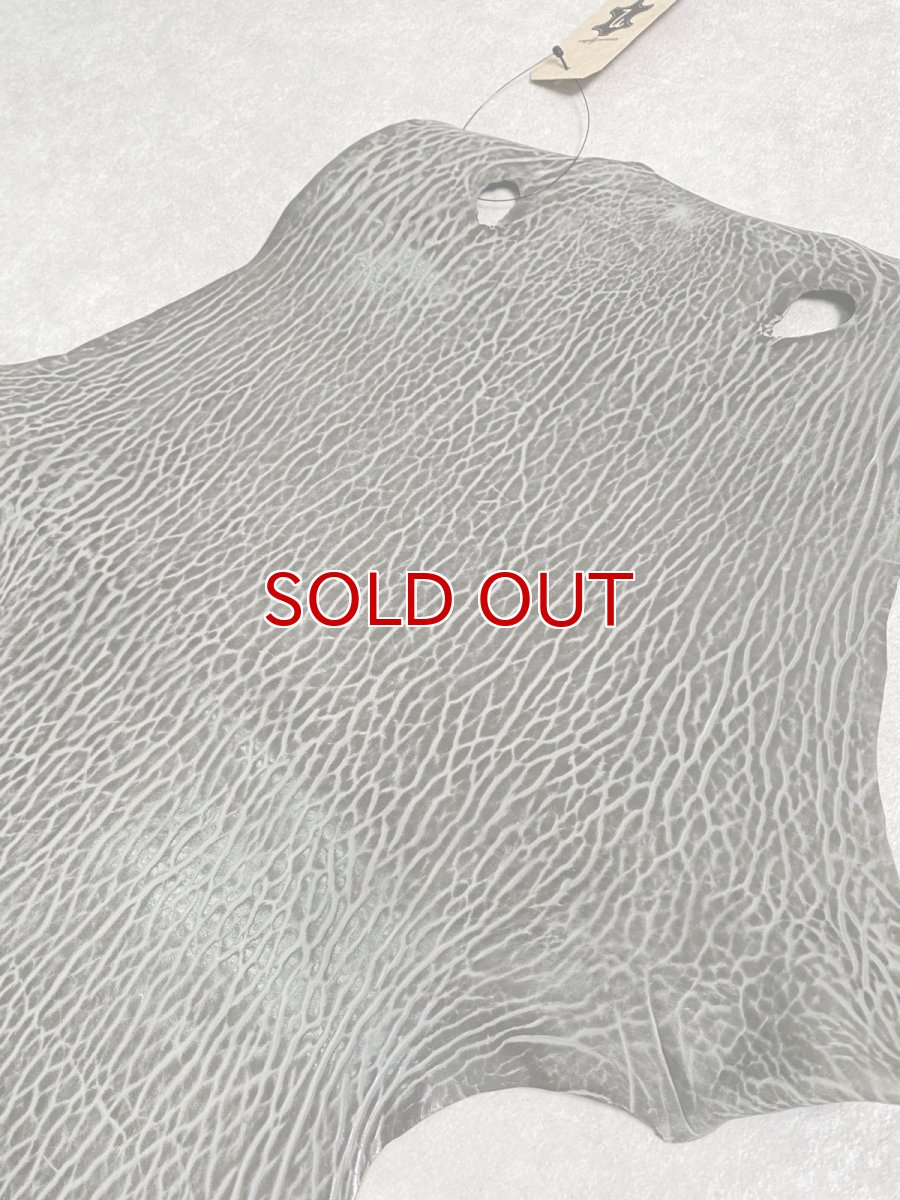 画像5: ケープシール　グレー　オットセイ革　シールスキン　 (5)