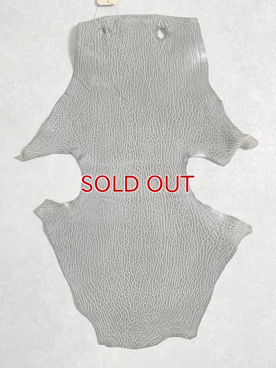 画像1: ケープシール グレー オットセイ革 シールスキン  (1)