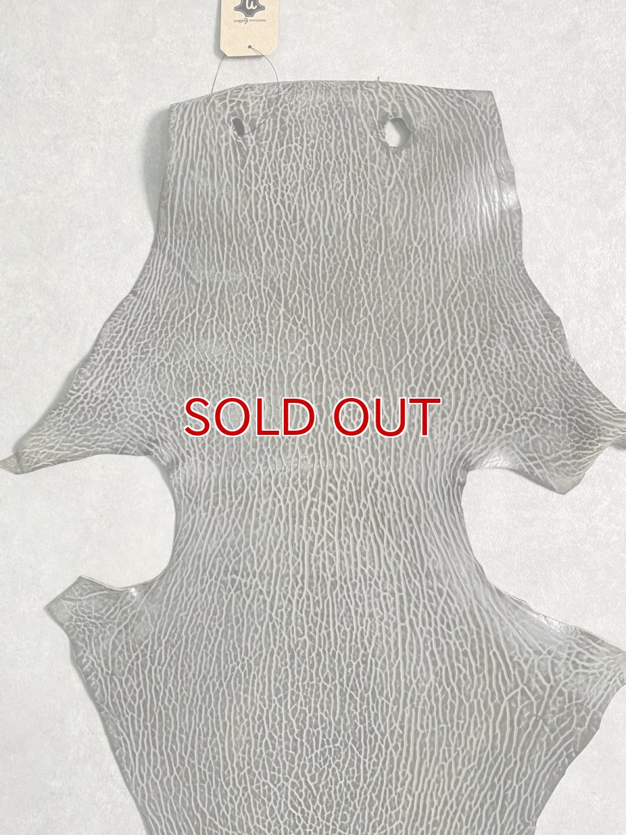 画像3: ケープシール グレー オットセイ革 シールスキン  (3)