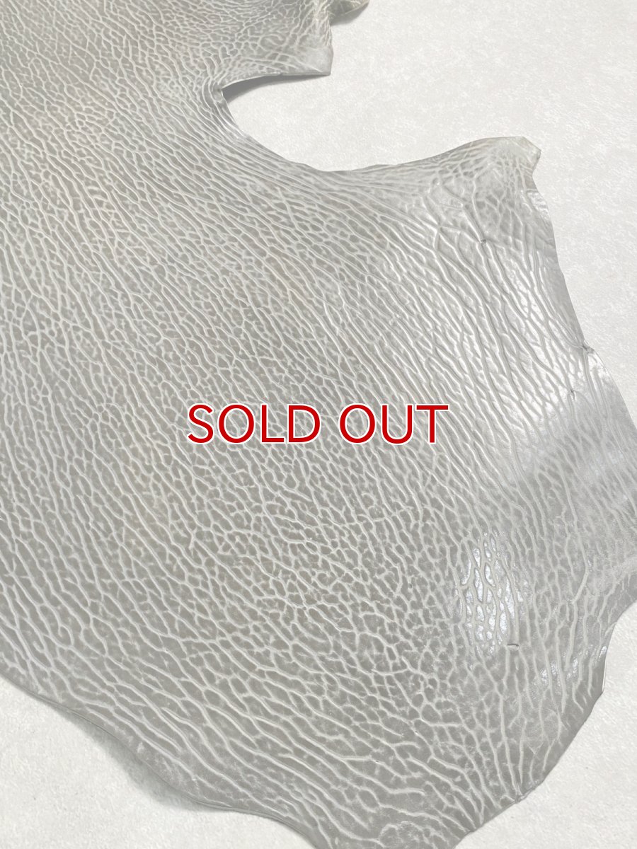 画像6: ケープシール グレー オットセイ革 シールスキン  (6)