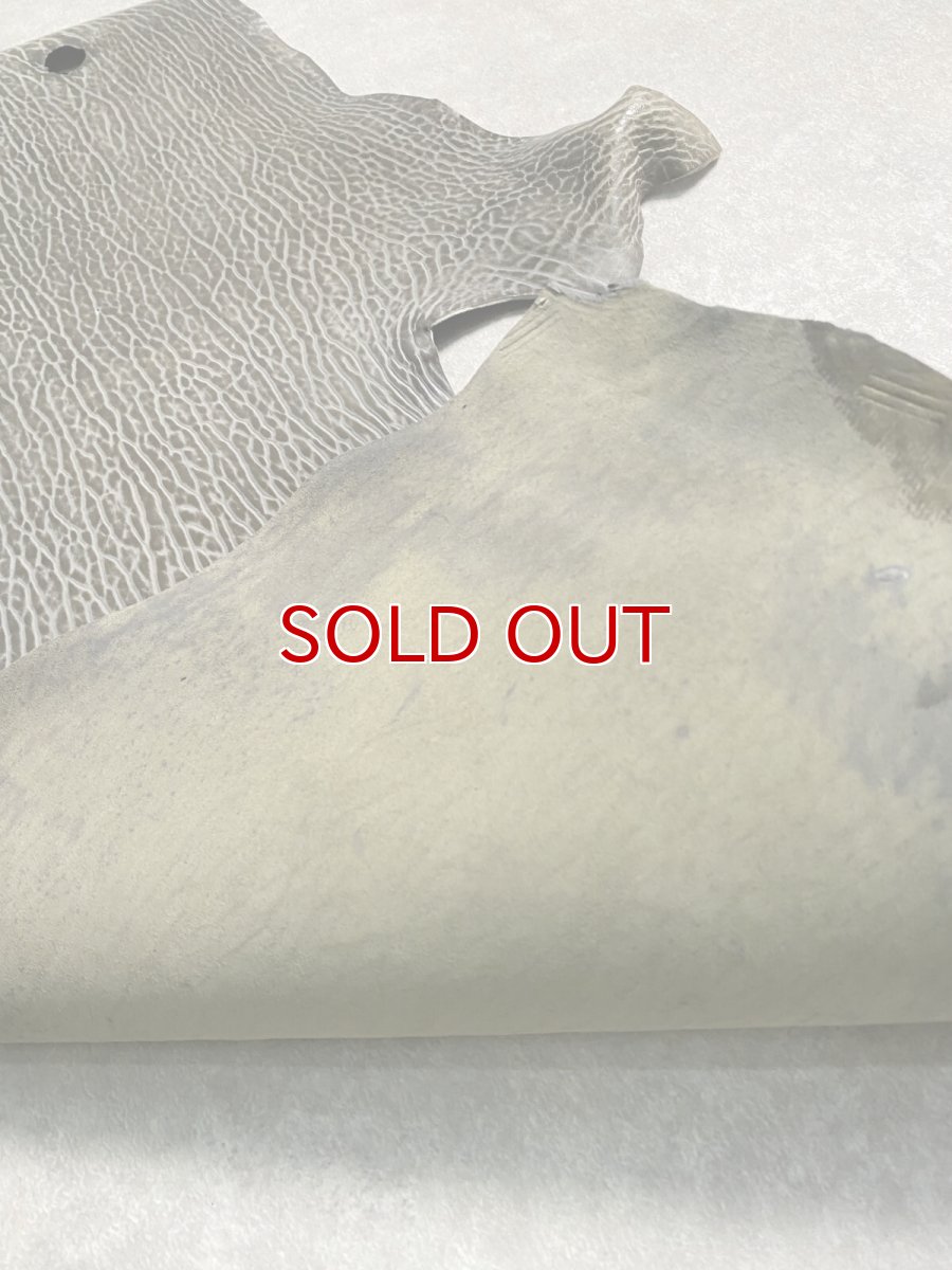 画像7: ケープシール グレー オットセイ革 シールスキン  (7)