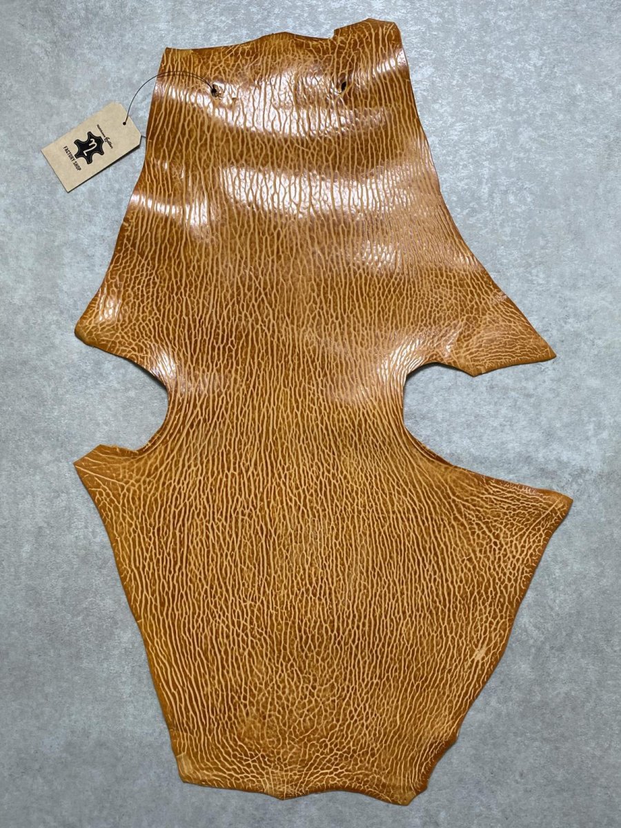 画像1: ケープシール　キャメル　オットセイ革　シールスキン　エキゾチックレザー (1)