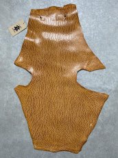 画像1: ケープシール　キャメル　オットセイ革　シールスキン　エキゾチックレザー (1)