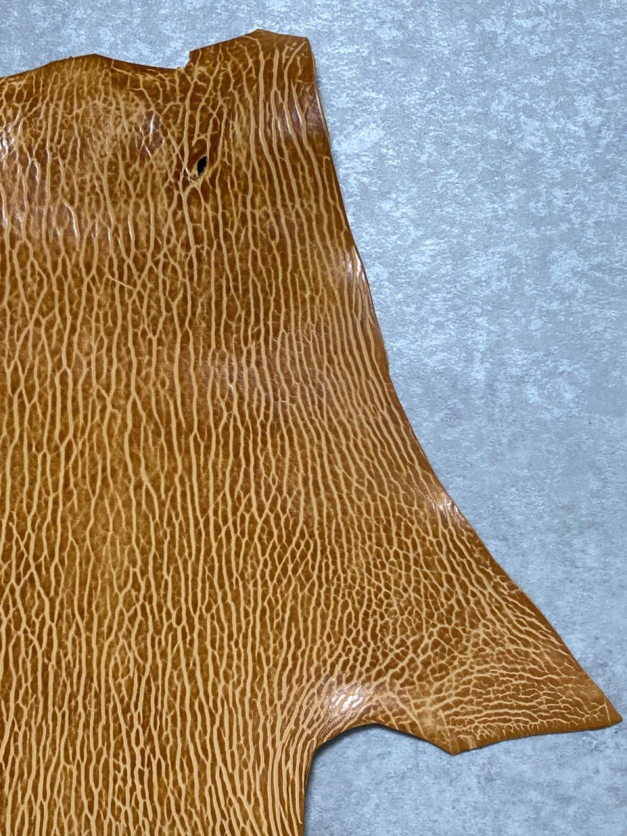 画像3: ケープシール　キャメル　オットセイ革　シールスキン　エキゾチックレザー (3)