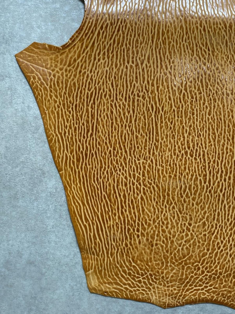 画像4: ケープシール　キャメル　オットセイ革　シールスキン　エキゾチックレザー (4)