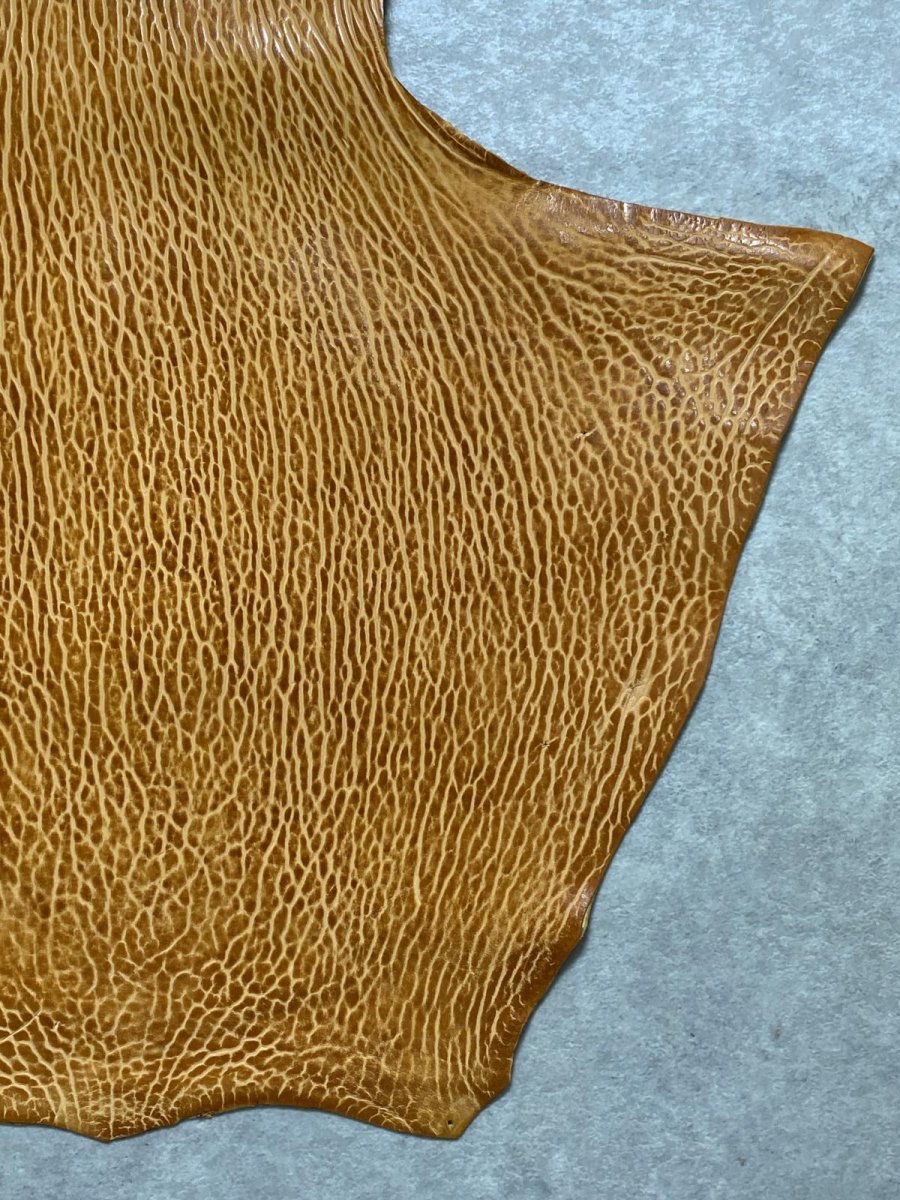 画像5: ケープシール　キャメル　オットセイ革　シールスキン　エキゾチックレザー (5)