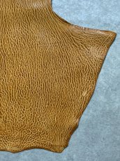 画像5: ケープシール　キャメル　オットセイ革　シールスキン　エキゾチックレザー (5)