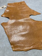 画像6: ケープシール　キャメル　オットセイ革　シールスキン　エキゾチックレザー (6)