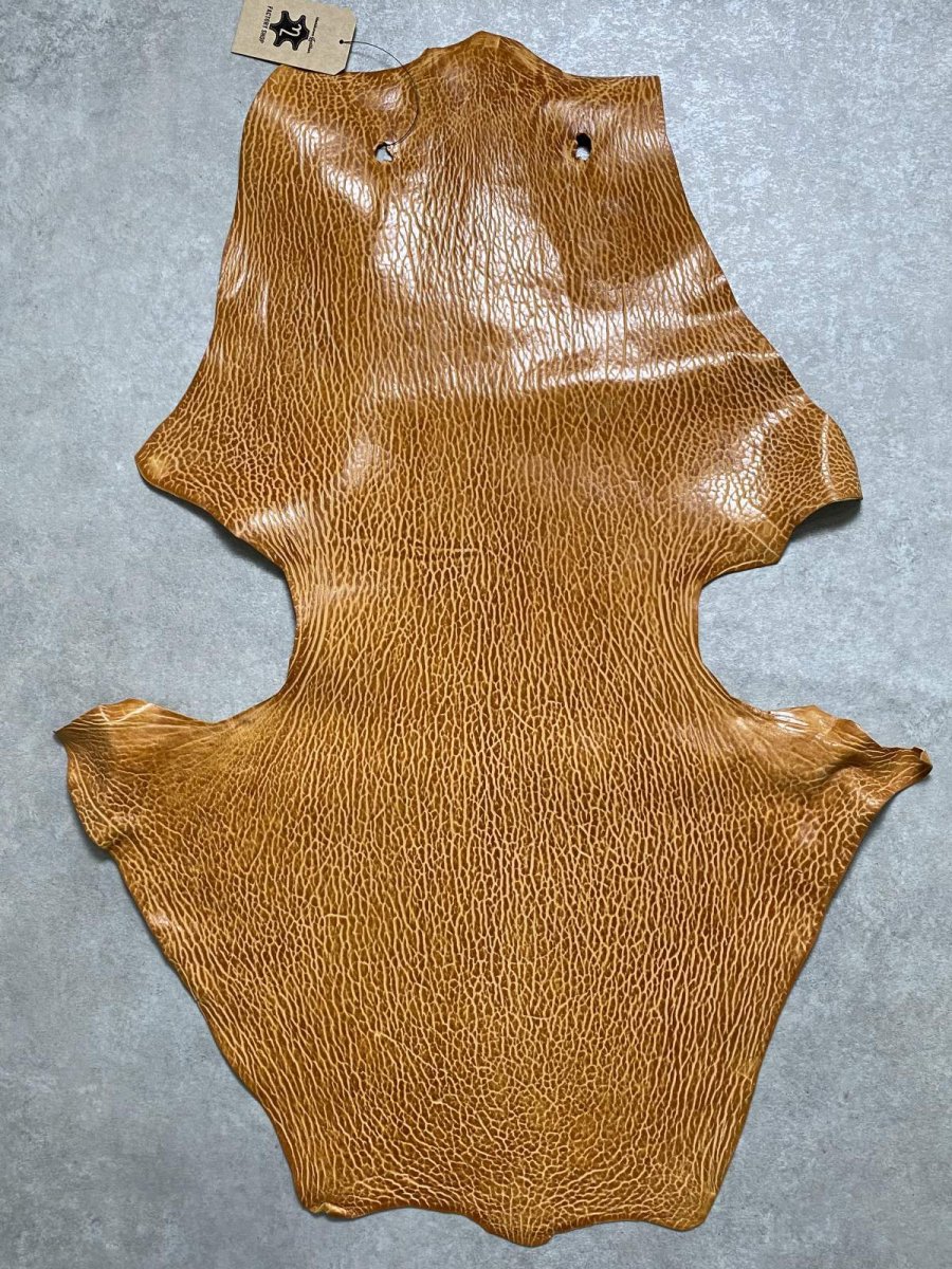 画像1: ケープシール　キャメル　オットセイ革　シールスキン　エキゾチックレザー (1)