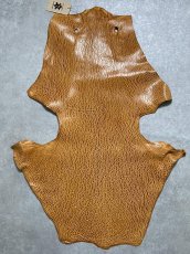 画像1: ケープシール　キャメル　オットセイ革　シールスキン　エキゾチックレザー (1)