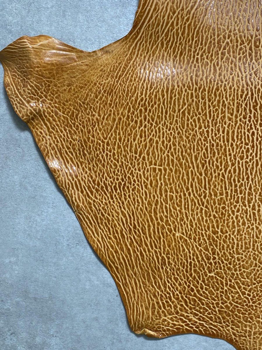 画像4: ケープシール　キャメル　オットセイ革　シールスキン　エキゾチックレザー (4)