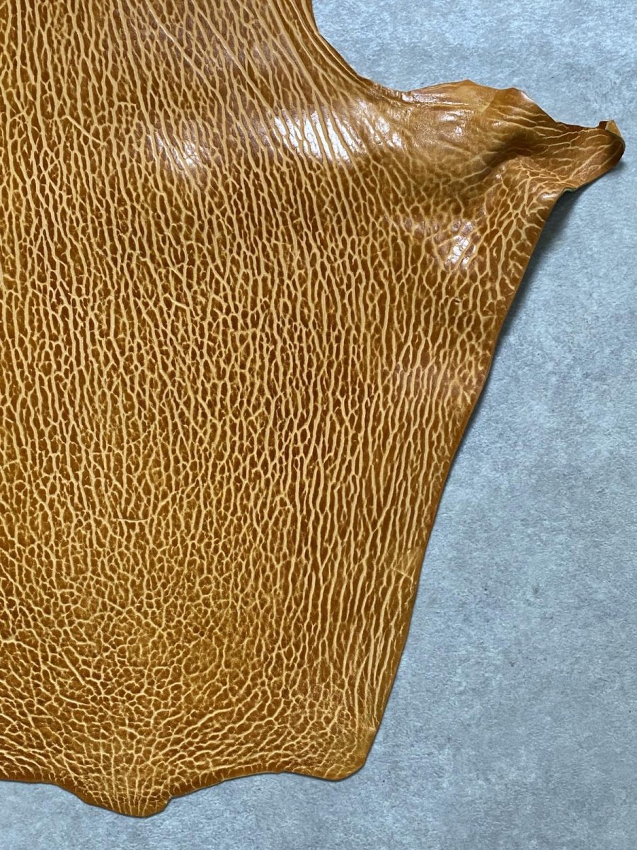 画像5: ケープシール　キャメル　オットセイ革　シールスキン　エキゾチックレザー (5)