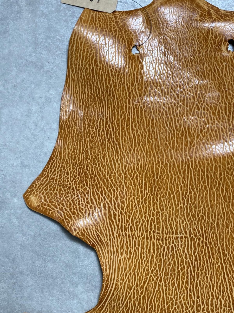 画像2: ケープシール　キャメル　オットセイ革　シールスキン　エキゾチックレザー (2)