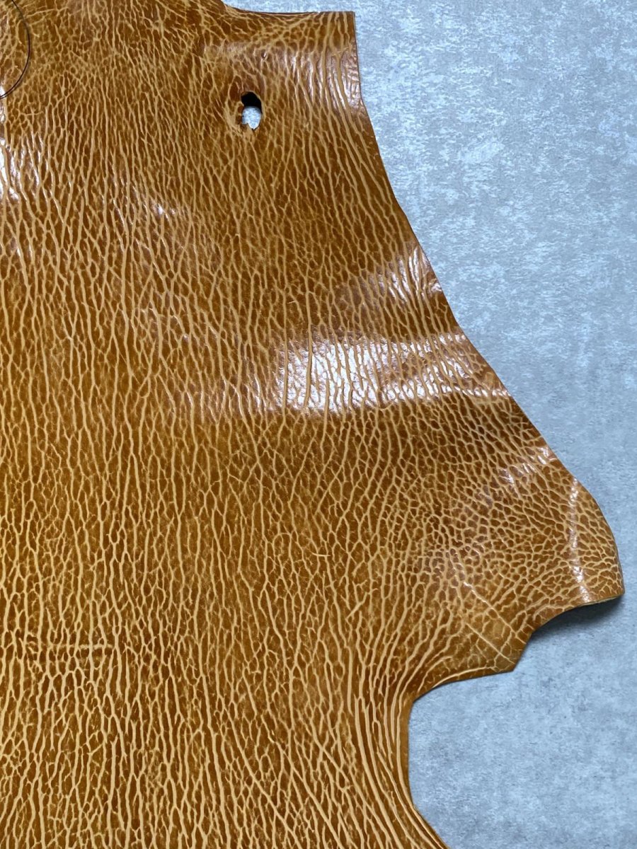 画像3: ケープシール　キャメル　オットセイ革　シールスキン　エキゾチックレザー (3)