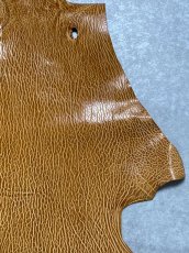 画像3: ケープシール　キャメル　オットセイ革　シールスキン　エキゾチックレザー (3)