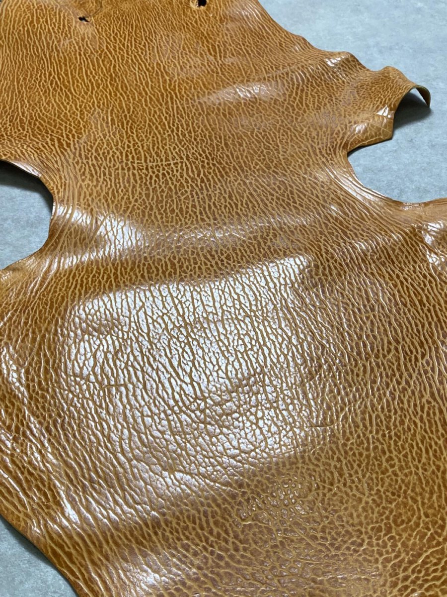 画像6: ケープシール　キャメル　オットセイ革　シールスキン　エキゾチックレザー (6)