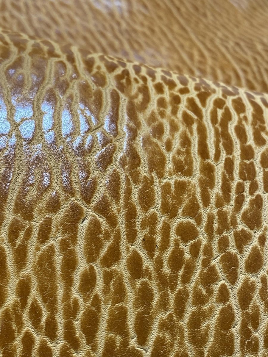 画像7: ケープシール　キャメル　オットセイ革　シールスキン　エキゾチックレザー (7)