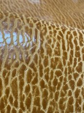 画像7: ケープシール　キャメル　オットセイ革　シールスキン　エキゾチックレザー (7)