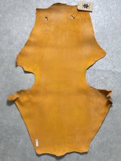 画像8: ケープシール　キャメル　オットセイ革　シールスキン　エキゾチックレザー (8)