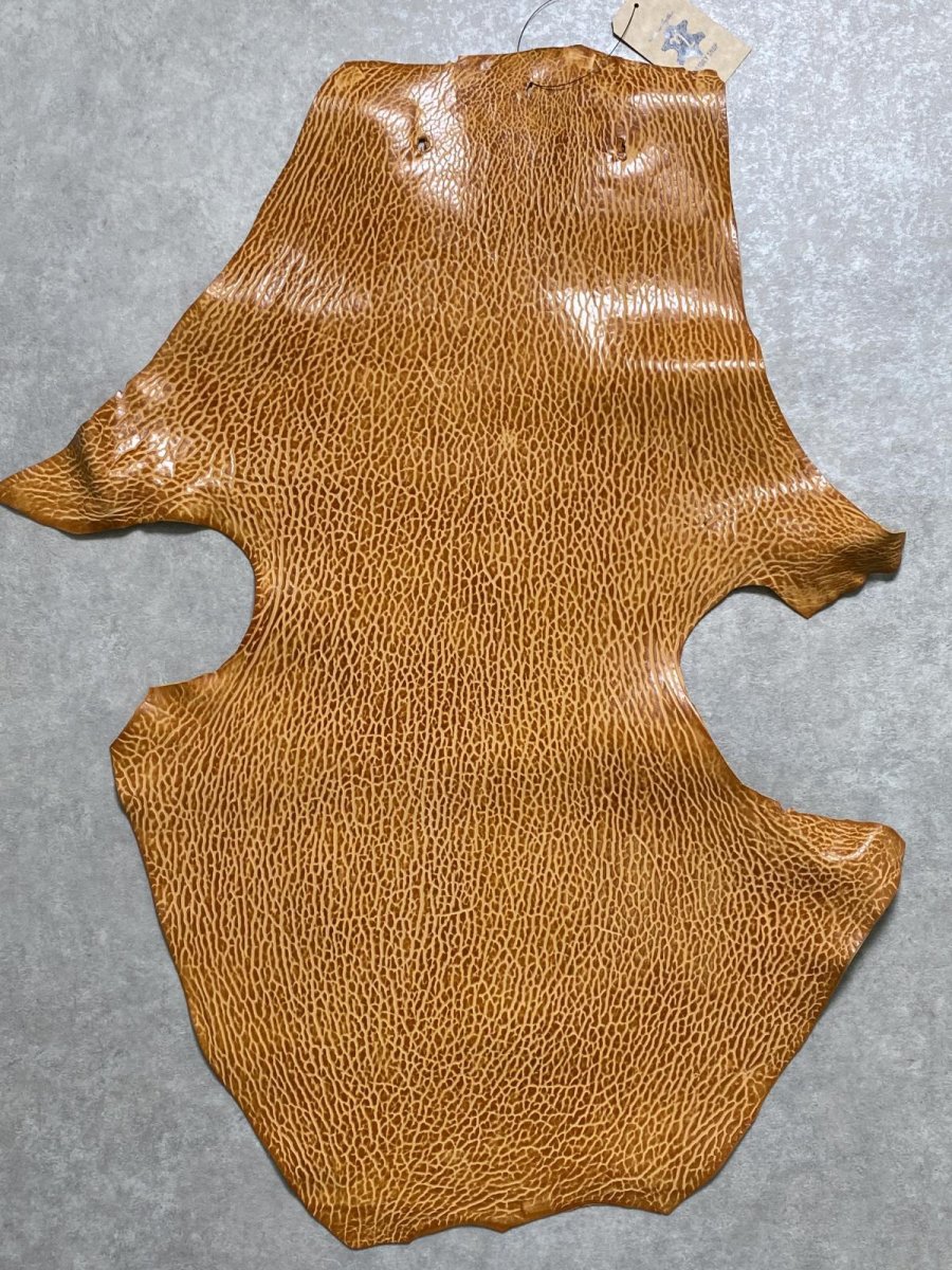 画像1: ケープシール　キャメル　オットセイ革　シールスキン　エキゾチックレザー (1)