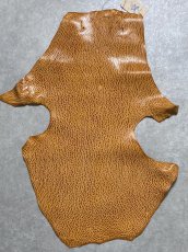 画像1: ケープシール　キャメル　オットセイ革　シールスキン　エキゾチックレザー (1)