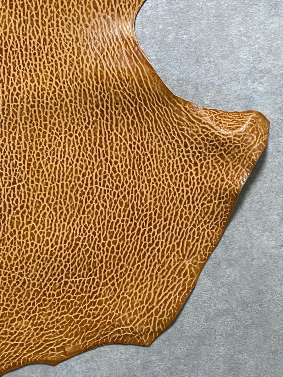 画像5: ケープシール　キャメル　オットセイ革　シールスキン　エキゾチックレザー (5)