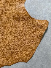 画像5: ケープシール　キャメル　オットセイ革　シールスキン　エキゾチックレザー (5)