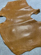 画像6: ケープシール　キャメル　オットセイ革　シールスキン　エキゾチックレザー (6)