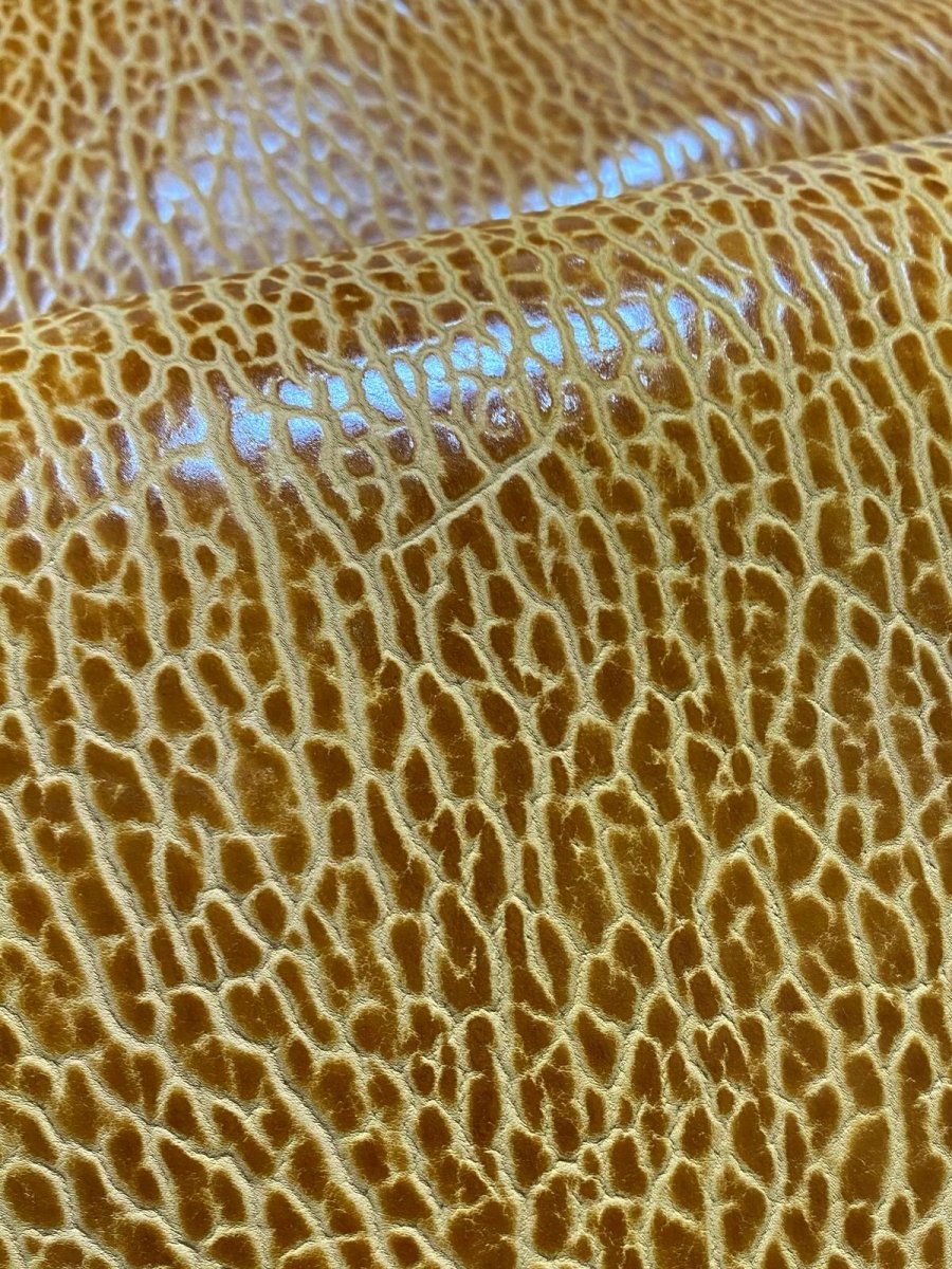 画像7: ケープシール　キャメル　オットセイ革　シールスキン　エキゾチックレザー (7)