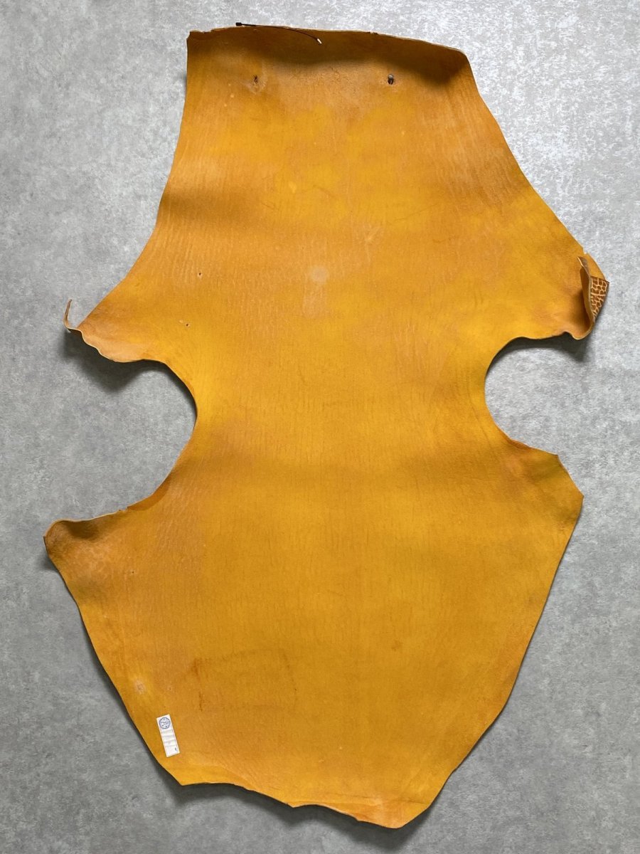 画像8: ケープシール　キャメル　オットセイ革　シールスキン　エキゾチックレザー (8)