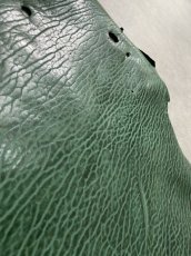 画像4: ケープシール　グリーン　オットセイ革 (4)